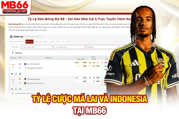 Tỷ lệ cược Mã Lai và Indonesia tại MB66